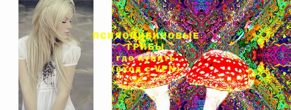 прущая мука Белокуриха